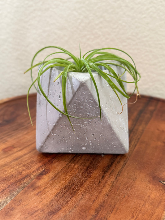 Geometric Cement Planter 8 Sided Design with 2 Inch Hole for Airplant or Any Small Plant Unique Decorative Pot